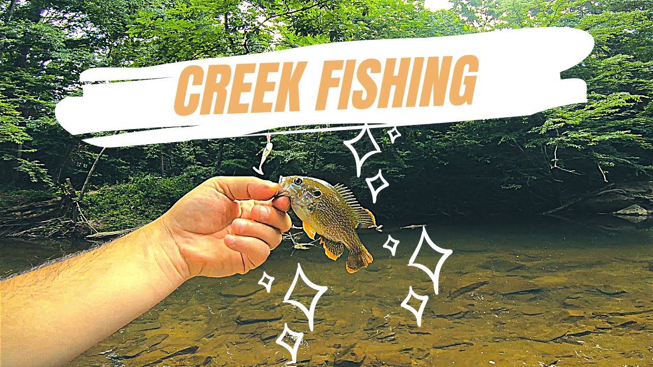 Creek Fishing With Classic Grub Bait