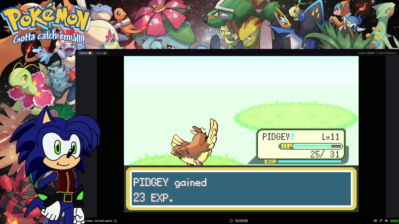 Runnic Pokemon Fire Red part 001