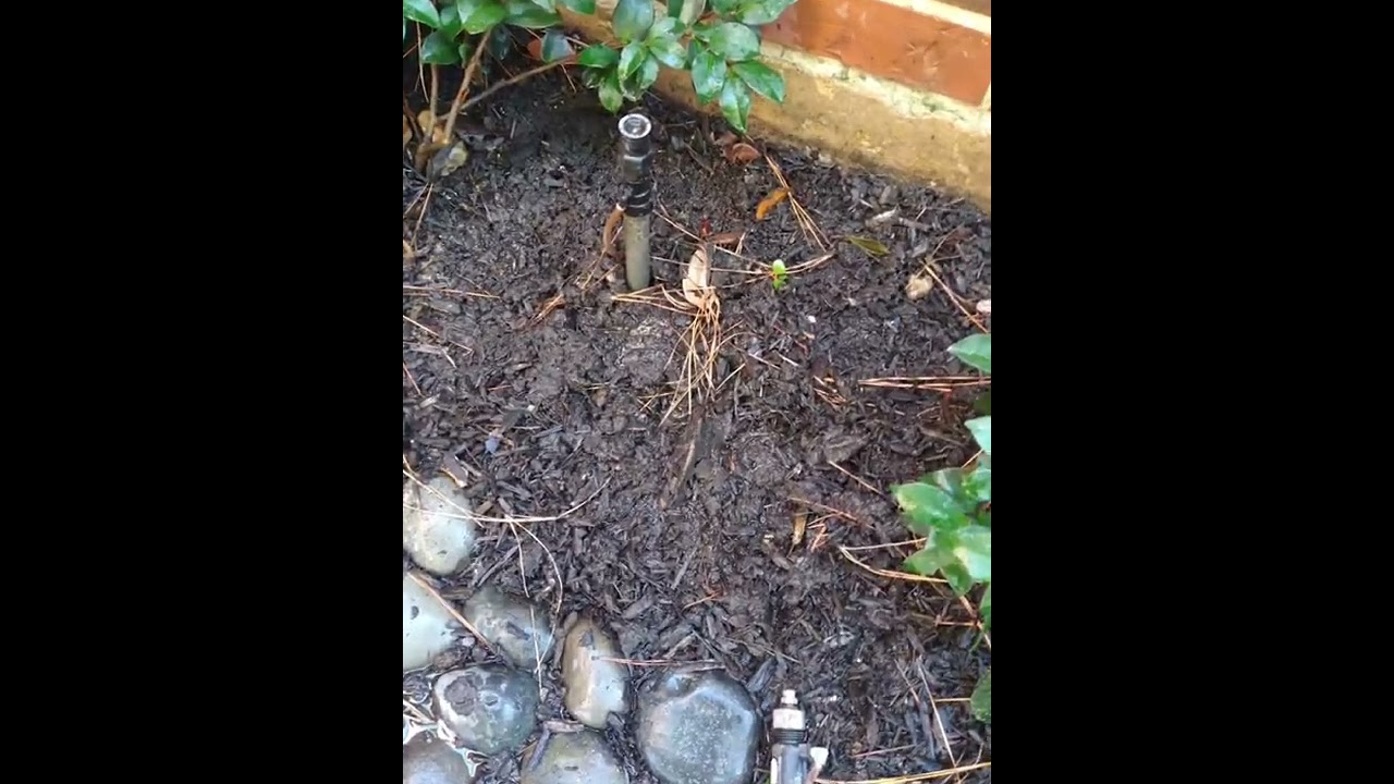 Tomball Texas sprinkler king , full sprinkler system tune up for better coverage
