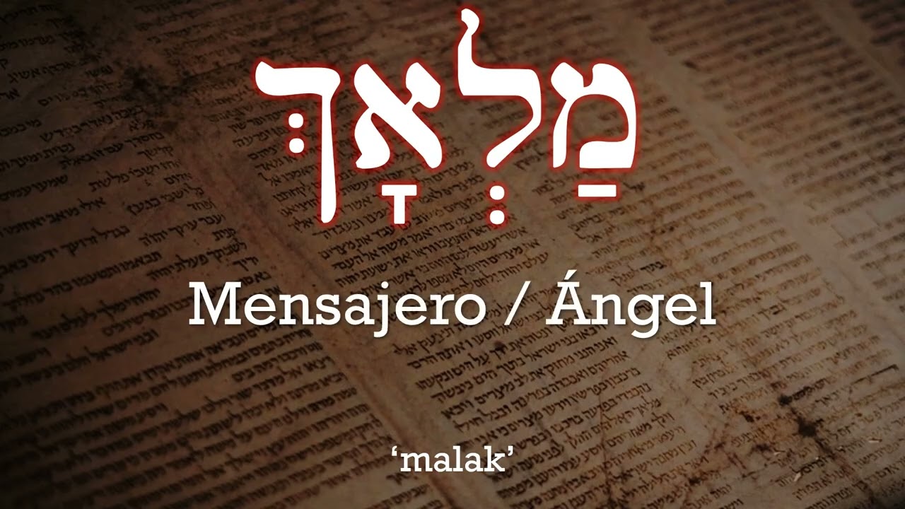 Vocabulario Hebreo 11