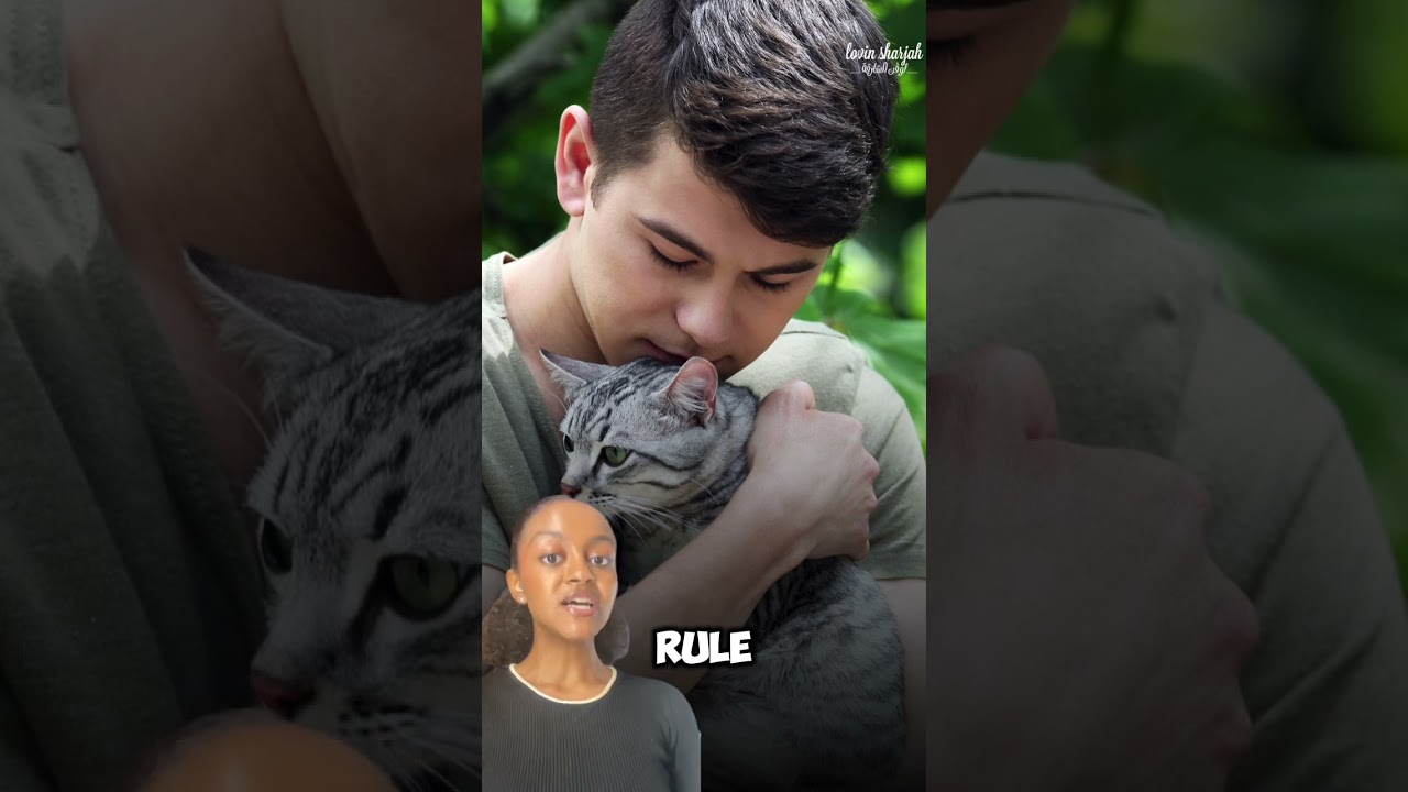 Emiri Decree on Stray Animals Issued by UAQ Ruler