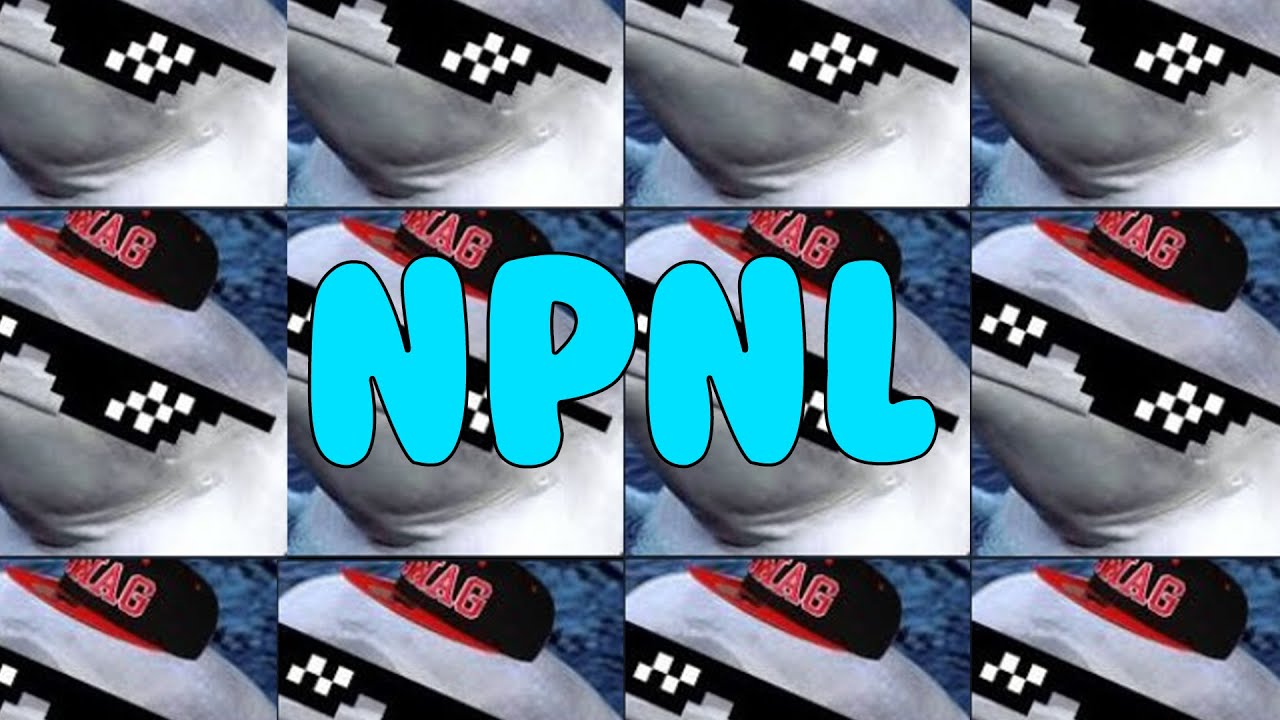 NPNL Intro