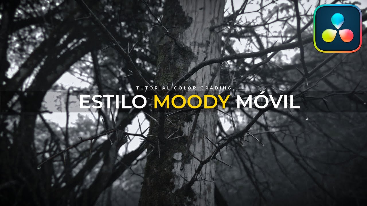 Editando el estilo MOODY en video móvil | DaVinci Resolve Tutorial