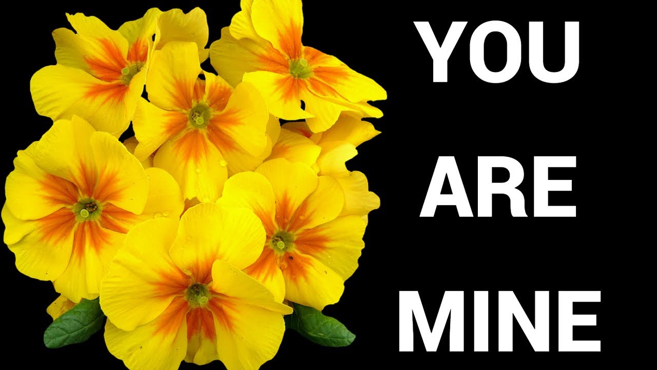 My love for you is unconditional/falling in love with you/ You are mine/love poetry/Pernia quotes