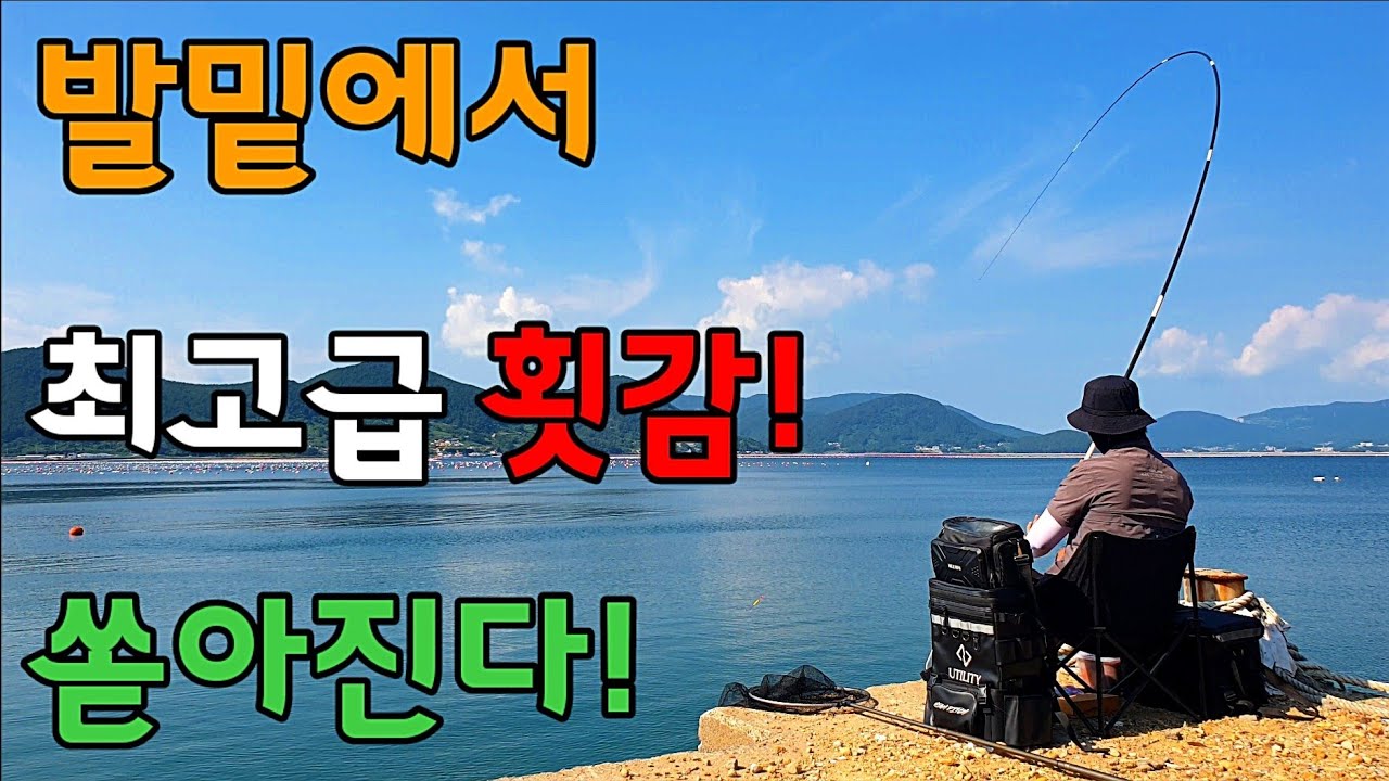 아무도 찾지 않는 1인 포인트/잡아서 바로먹는 최고급 어종/차에서 먹고자는 차박여행/민장대 대박