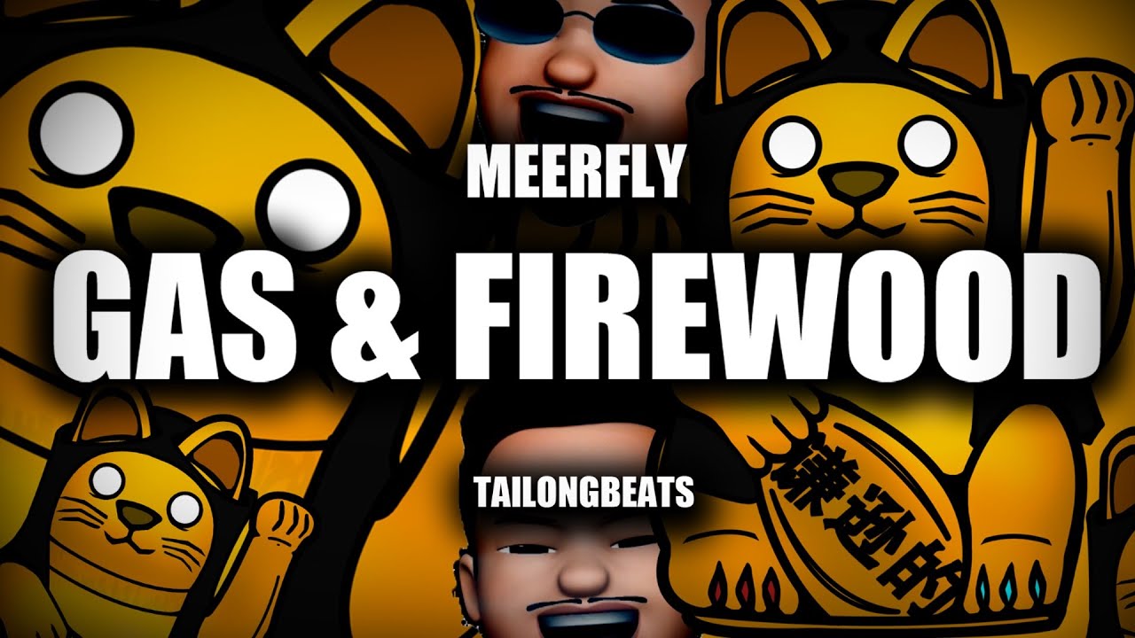 MeerFly  - 