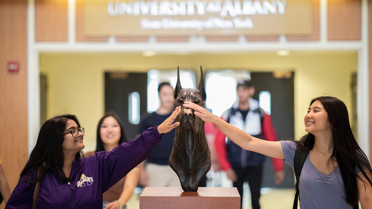 What defines the University at Albany community?