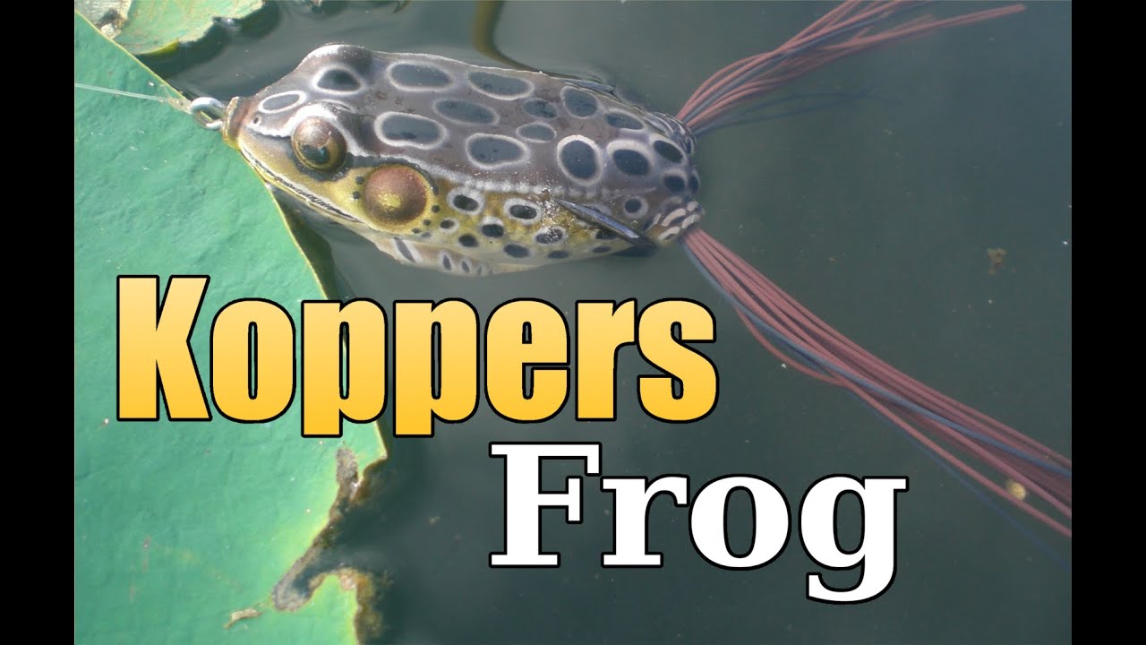 KOPPERS Live Target Frog - Topwater Fishing Tips (Hat Cam Bass)