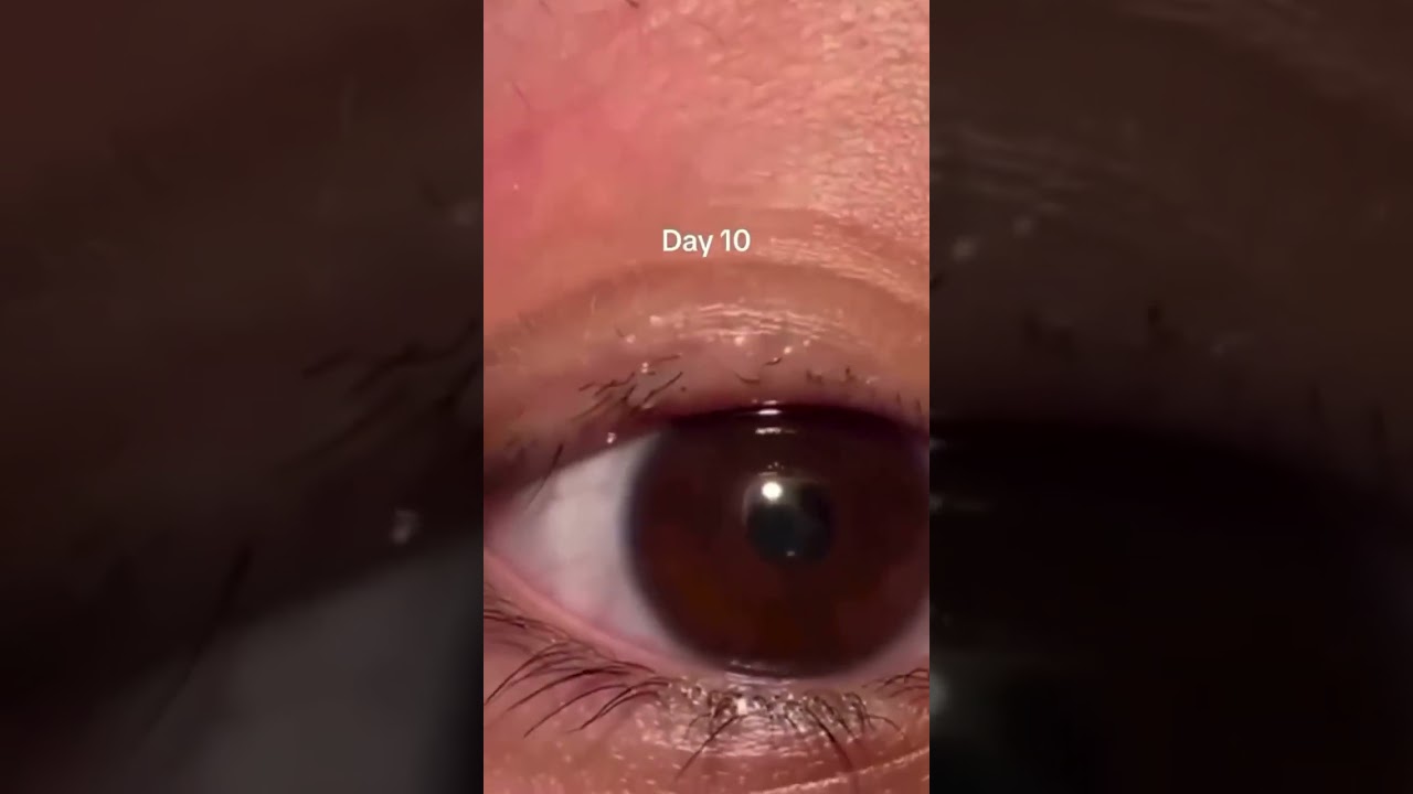 Ripping your lashes&hellip; and trying to revive them with a lash serum
