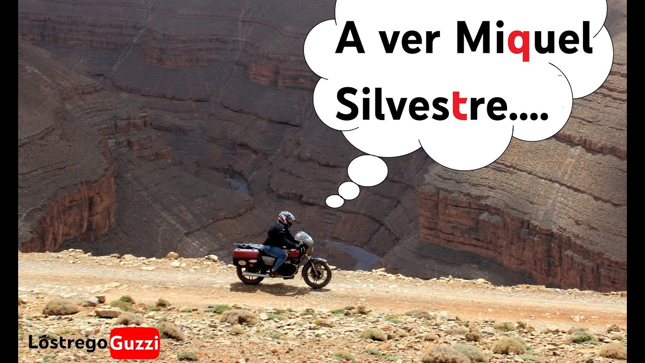 🤔A ver Miquel Silvestre....