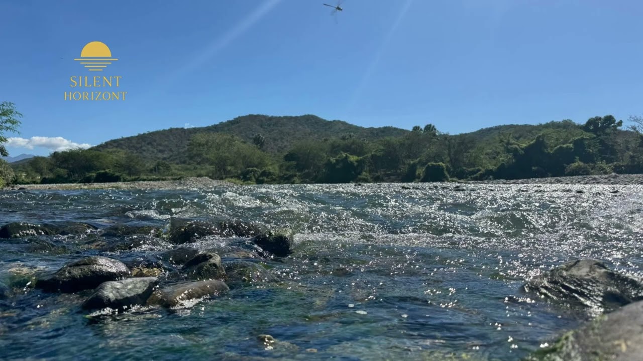 O.A.S  - The River
