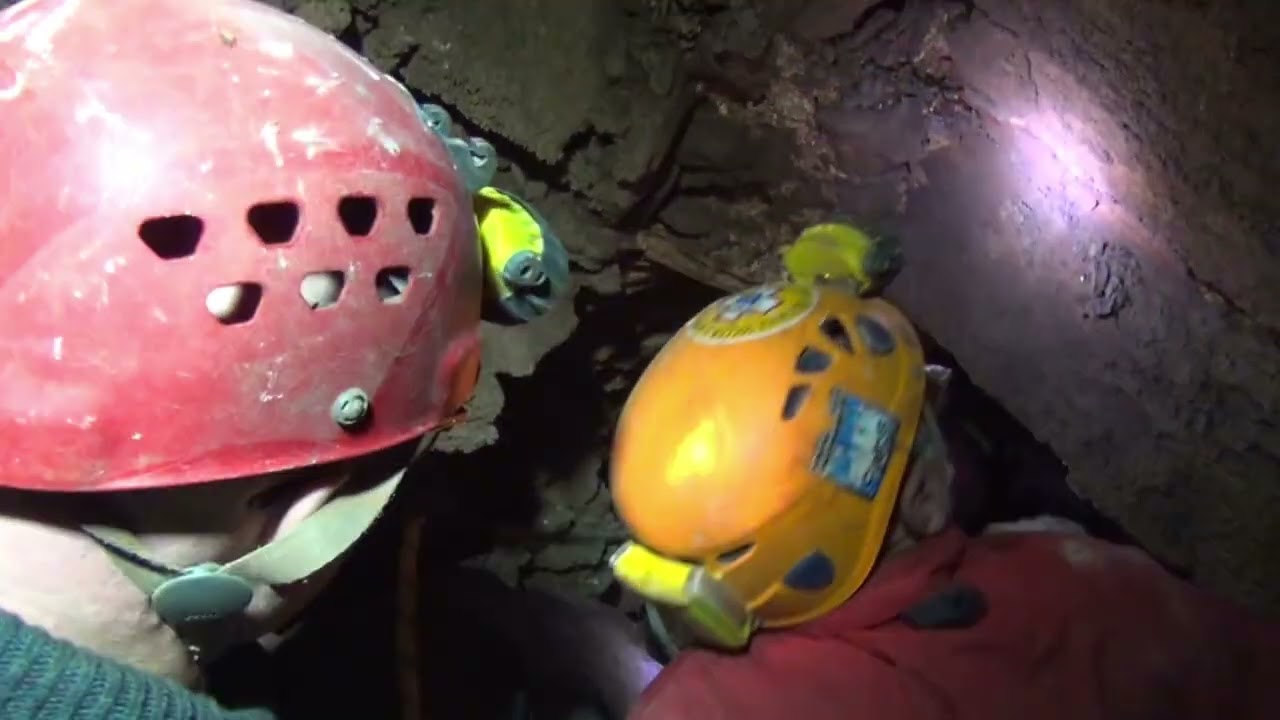 2D Grotta DELL URO BOSCO SAURO o