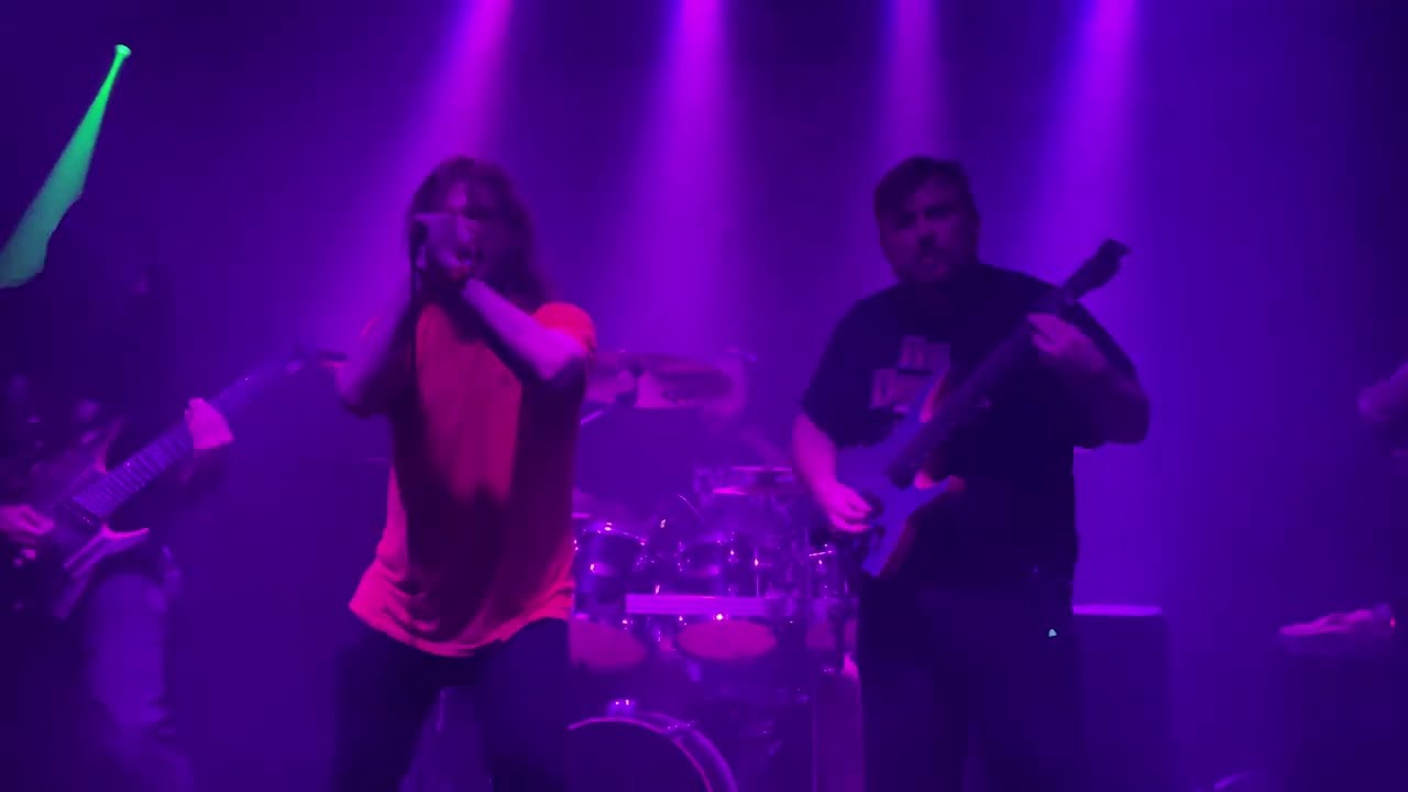Grey Lotus Live 2023