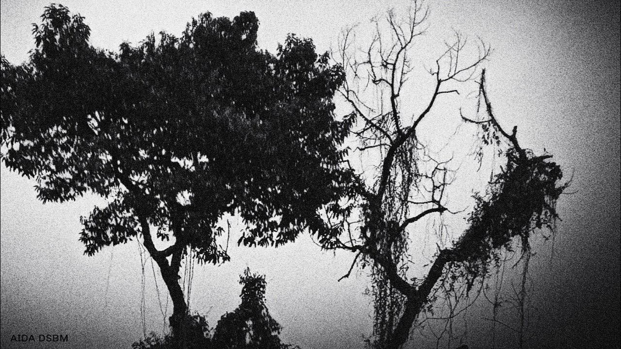A chance at life - desolated 
