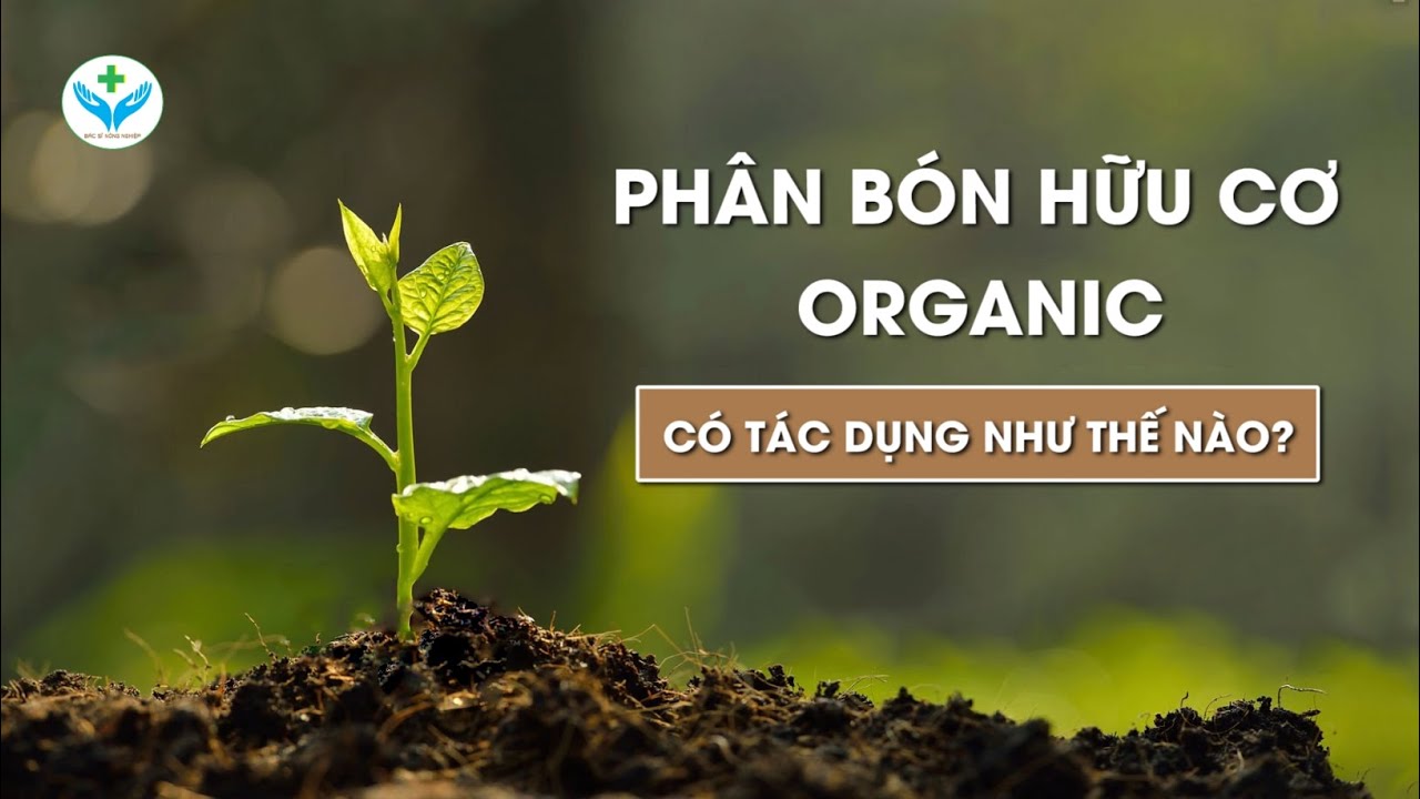 Phân bón hữu cơ Organic có tác dụng như thế nào?┃How does organic fertilizer work?┃Nông Sản ND