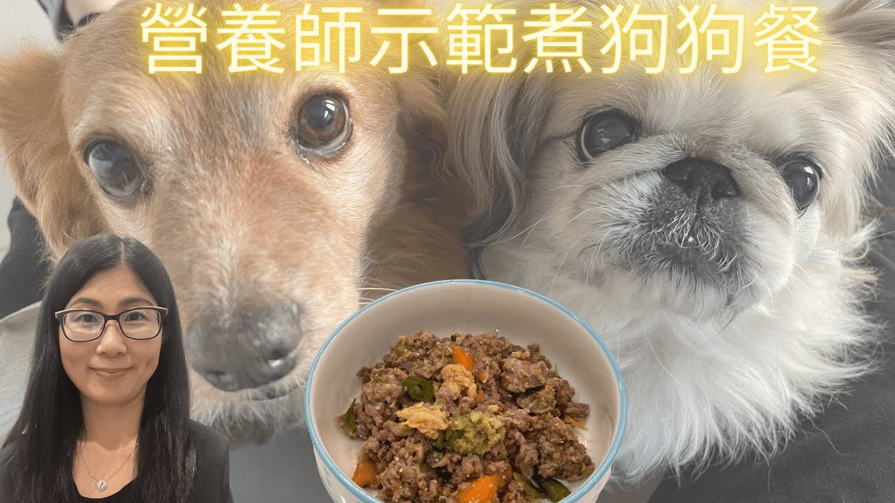 營養師媽媽示範煮狗狗料理  | 牛肉三文魚狗狗餐 天然健康好味 ! 營養師媽媽煮甚麼給狗狗吃 ? 狗狗鮮食食材有甚麼?   | 營養師媽媽Priscilla (粵語中文字幕)