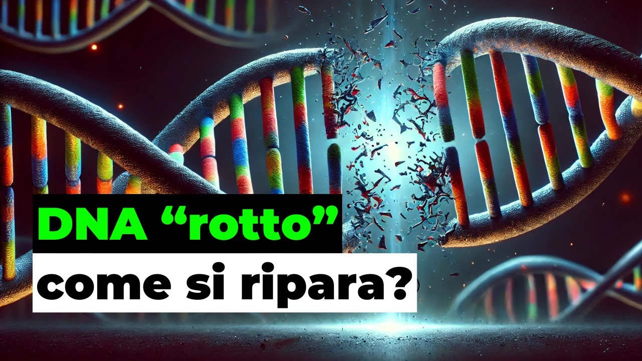 Come vengono riparati i danni al DNA?