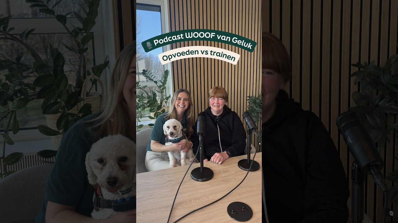 🎙️ Aflevering 3 | WOOOF van Geluk | Opvoeden vs trainen!