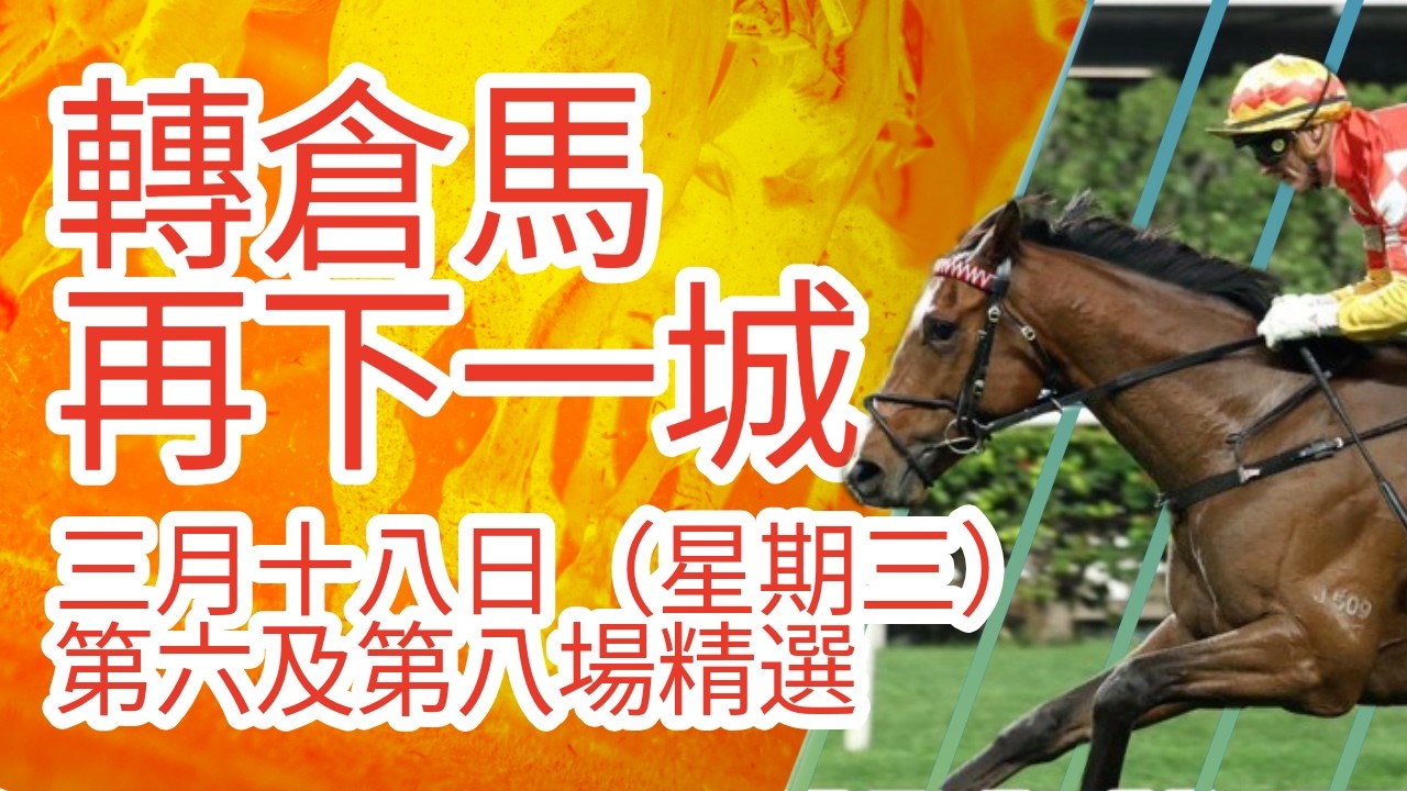 【馬迷誌】轉倉馬再下一城｜3月18日 星期三 谷草夜賽｜第六場及第八場｜【Horse Diary 】｜18th Mar Race 6 & 8