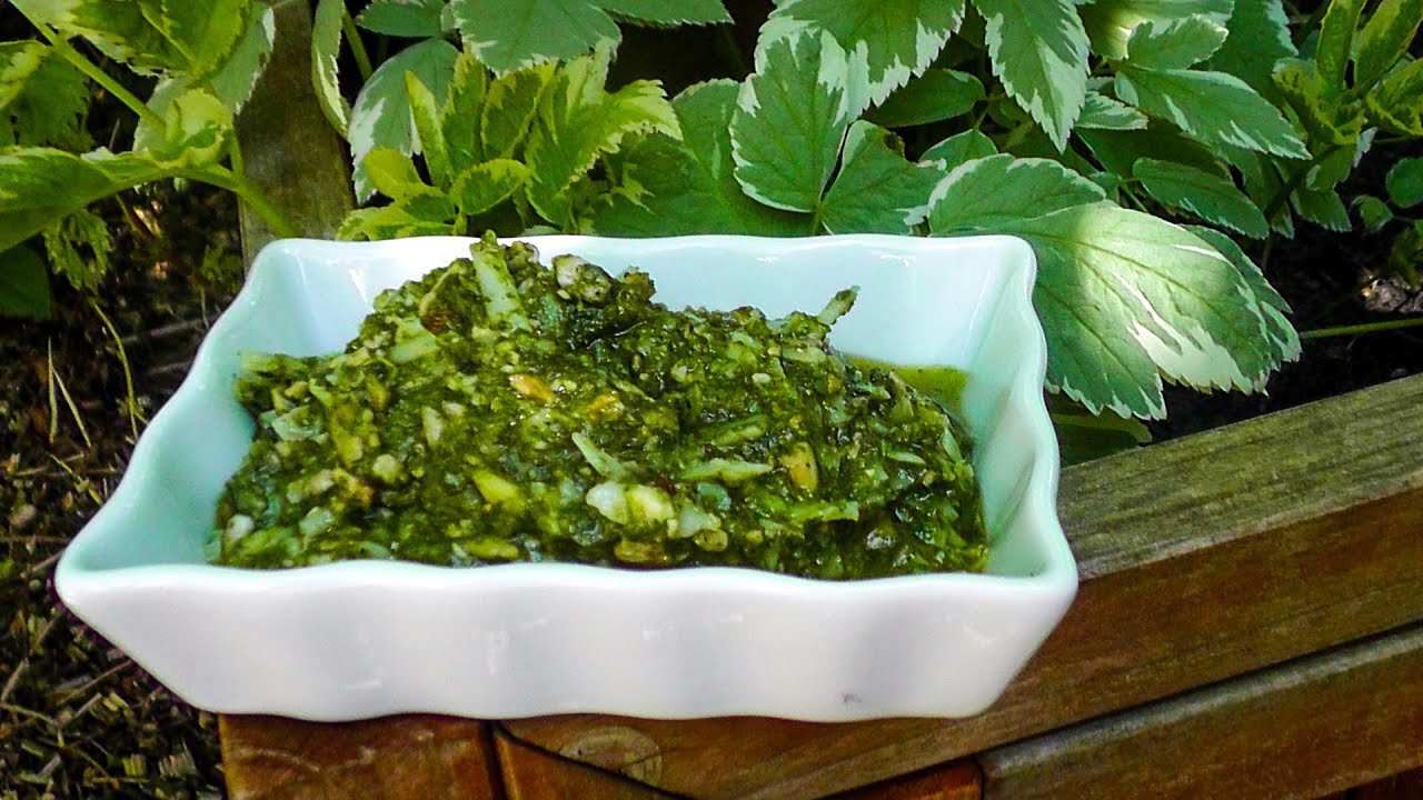 Giersch-Pesto Rezept | Der Bio Koch #727