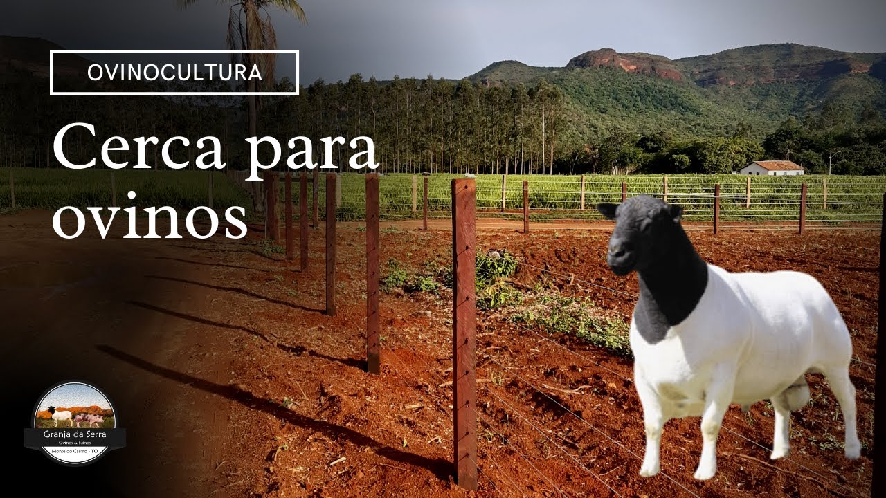 CERCA DE ARAME LISO PARA OVINOS
