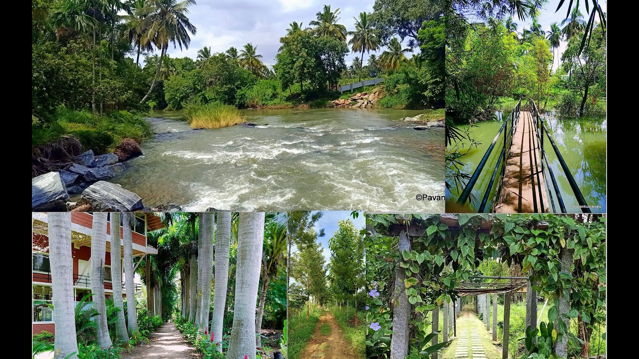 Yoga Dhaama Retreat