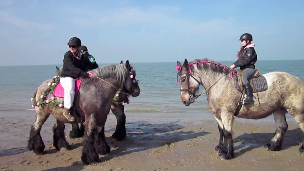 Strao Scharendijke 12 maart 2016