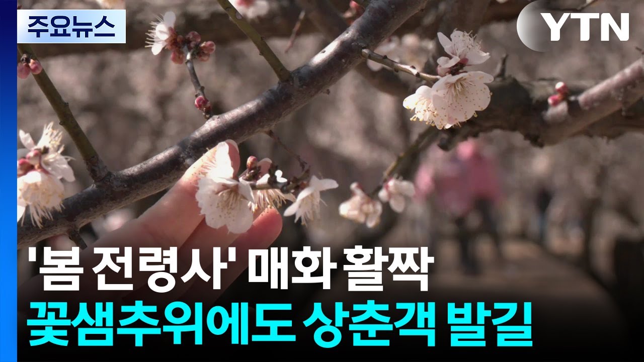꽃샘추위에도 공원·전통시장 나들이객 '북적' / YTN