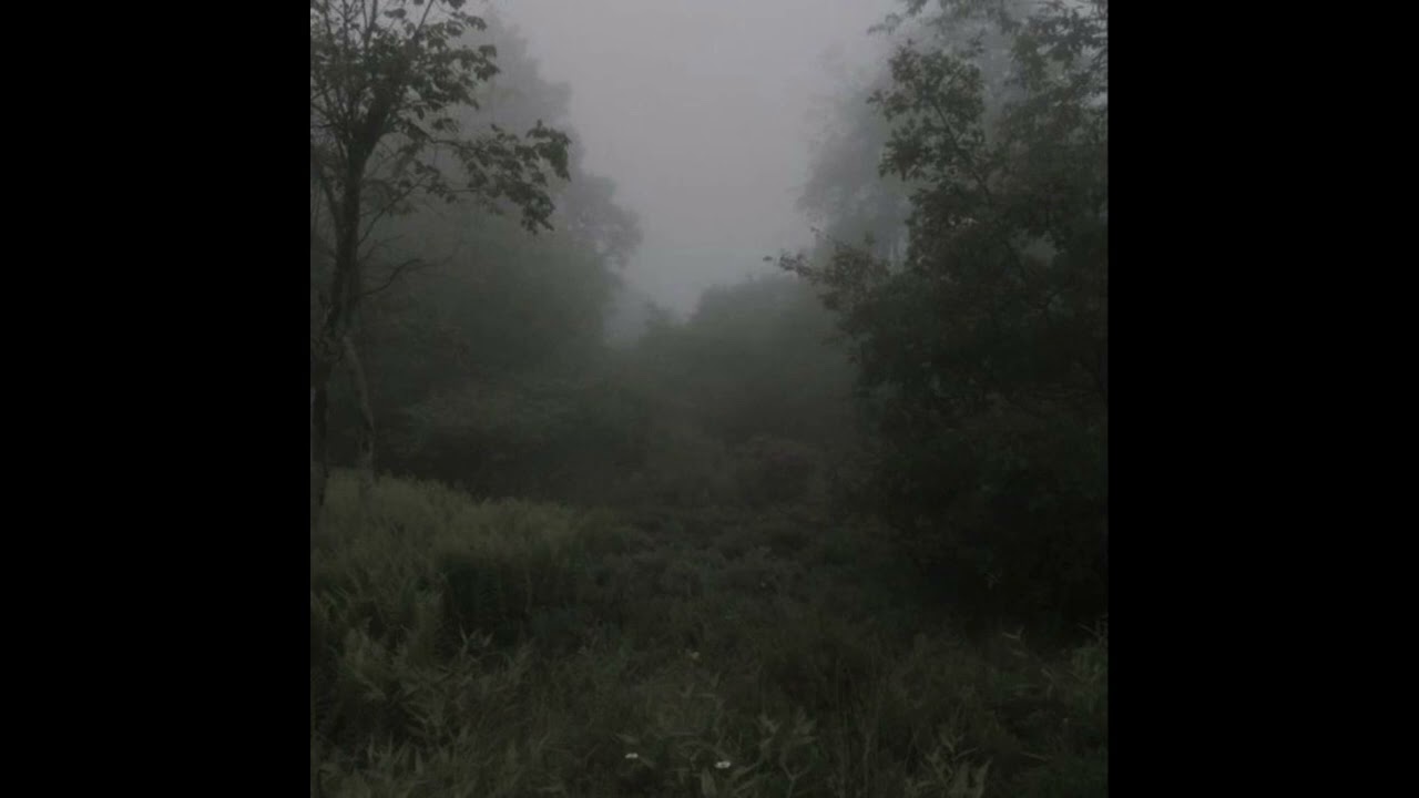 slimggp - vampire masquerade (slowed + reverb)
