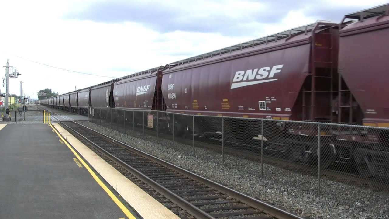 HiDef-BNSF & Amtrak At Auburn, WA.  14:31-15:23 HRS PDT  9-4-10.