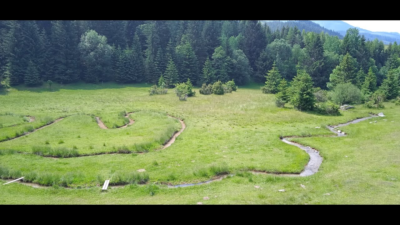 Meanders - river phenomenon and protected natural area on Liptov in Slovakia 🌊🌼🌲
