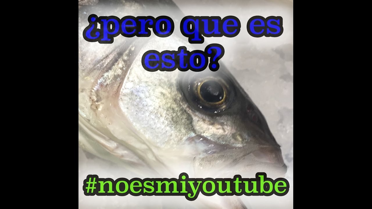 🔵 Viva la pesca PESCAGUIDE vblog