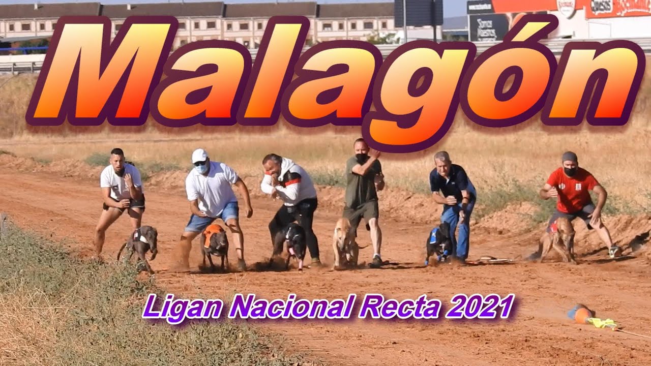 Resumen carrera en Malagón de la Liga Nacional de Recta 2021