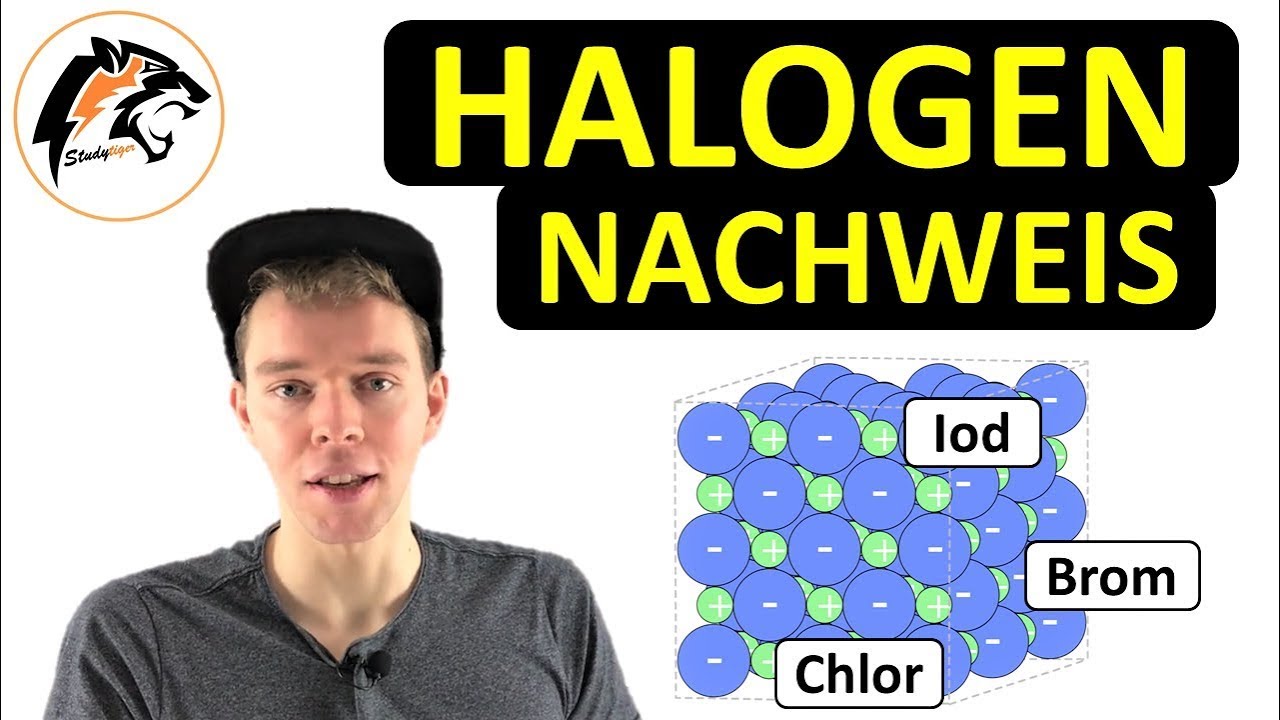 HALOGENNACHWEIS mit Silbernitrat (Chlor, Brom & Iod) | Fällungsreaktionen