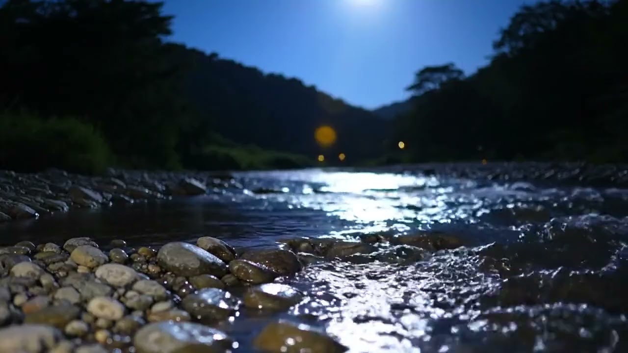 Woodland Stream 4K ASMR | Real Nature Audio of Gentle Flowing Water for Deep Relaxation