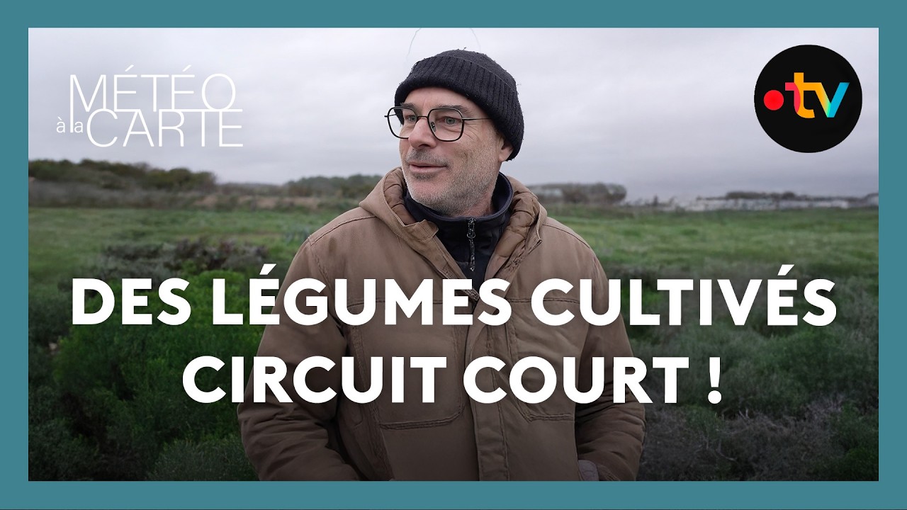 Quels sont les avantages du circuit court ? - Météo à la carte