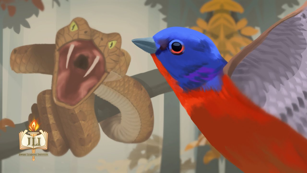 A Bird's Conversation With God