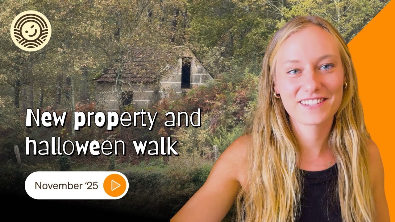 New Property in Portugal, a Belated Halloween Walk, and Loads of Rain