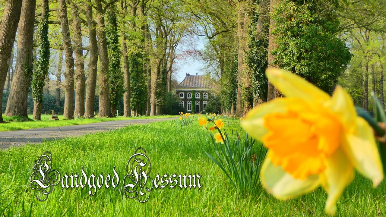 Landgoed Hessum / Hessum estate / Dalfsen / Vechtdal