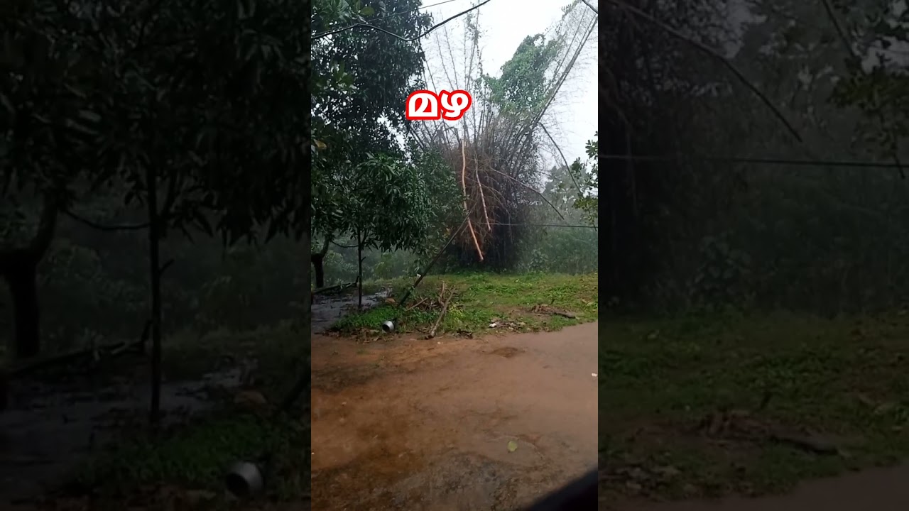 കർക്കിടകമഴ |#rain #karkidakam #karkidakamasam #music