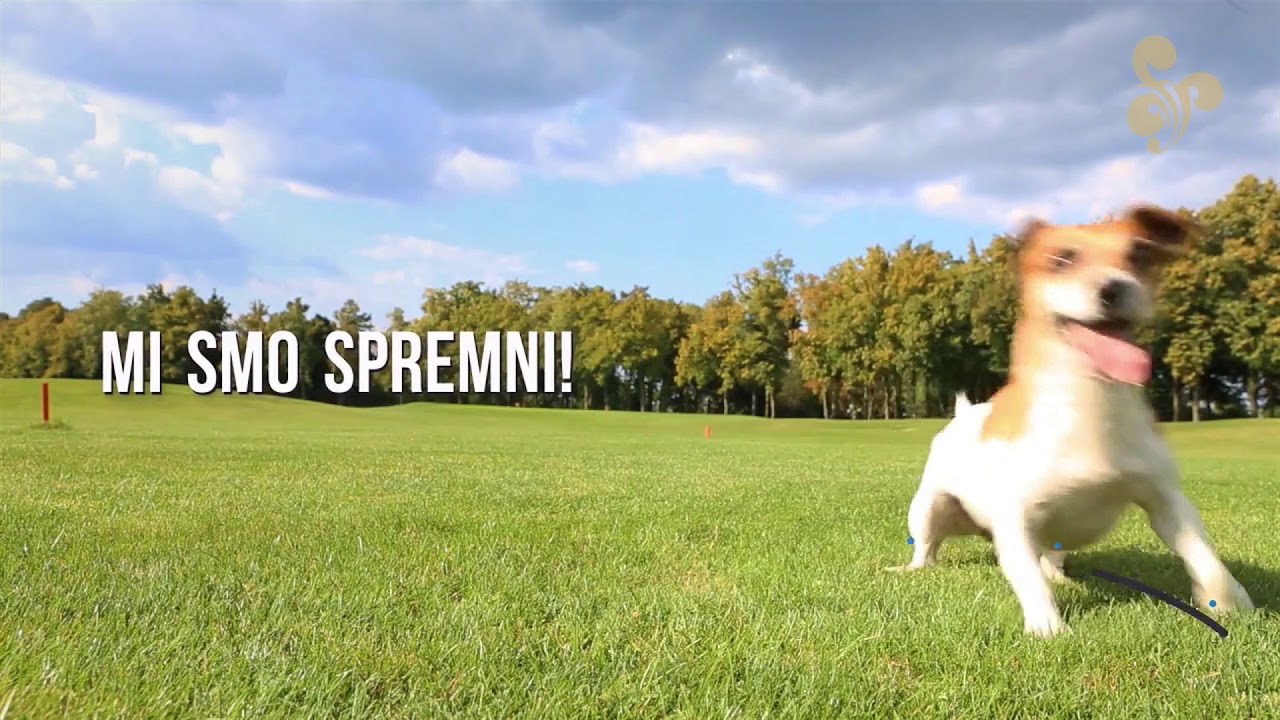 Aurea Fest Požega  - Teaser 3
