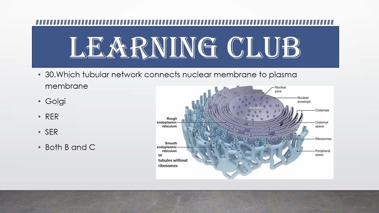 today's MDCAT test||MDCAT 9th september with key||discussion by learning club