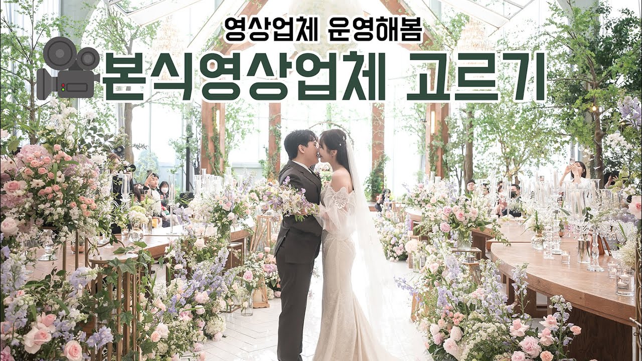 본식영상업체 어떻게 골라? 직접 운영해본 사람이 말해주는 본식DVD추천 l 듬아웨딩