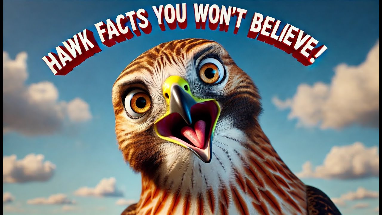 Hilarious Red Tailed Hawk Facts You Won't Believe