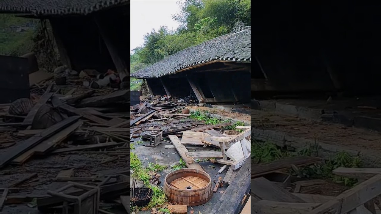 Not Just Collapse, But Structural Failure