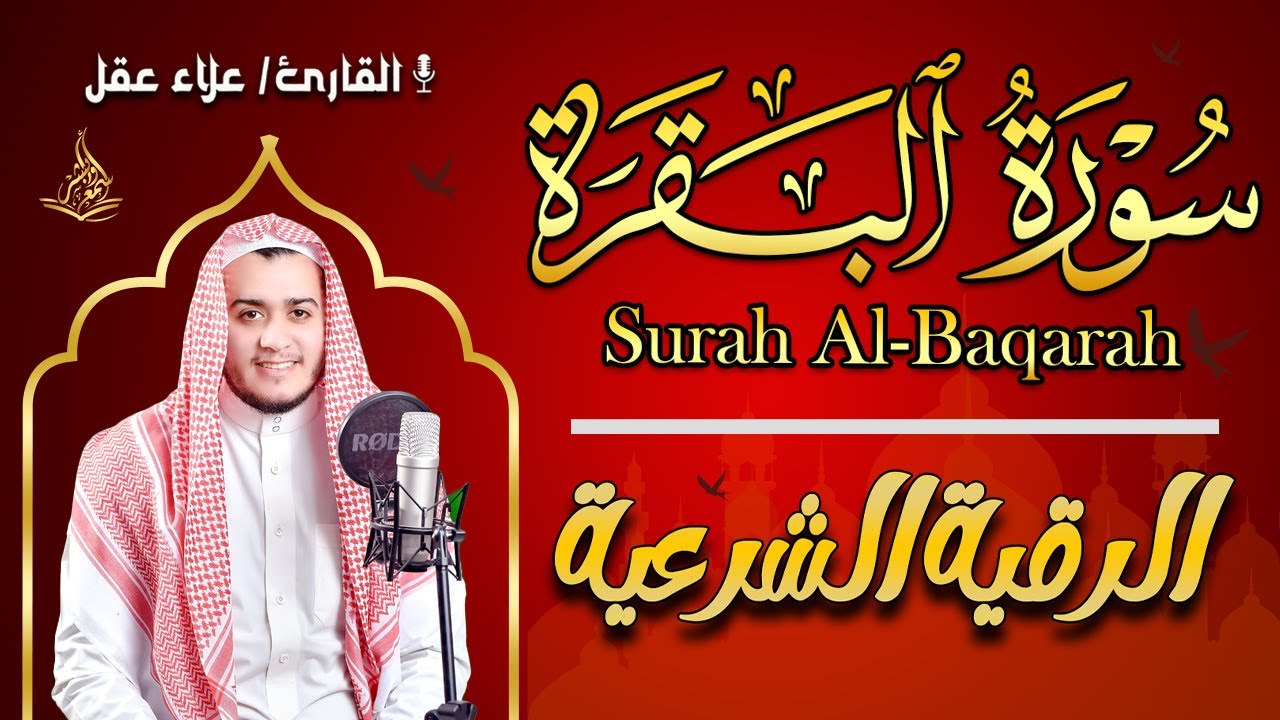 سورة البقرة كاملة تلاوة خاشعة لطرد الشياطين وجلب البركة  | علاء عقل