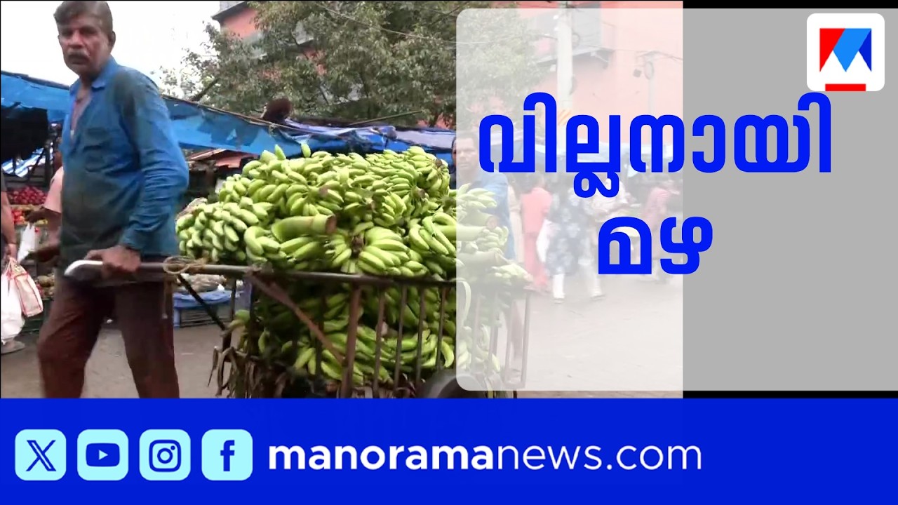 ഉത്രാടപ്പാച്ചിലിൽ പെയ്തിറങ്ങി മഴ; എറണാകുളത്തും കോഴിക്കോട്ടും വിപണികളിൽ പ്രതിസന്ധി ​| Ernakulam
