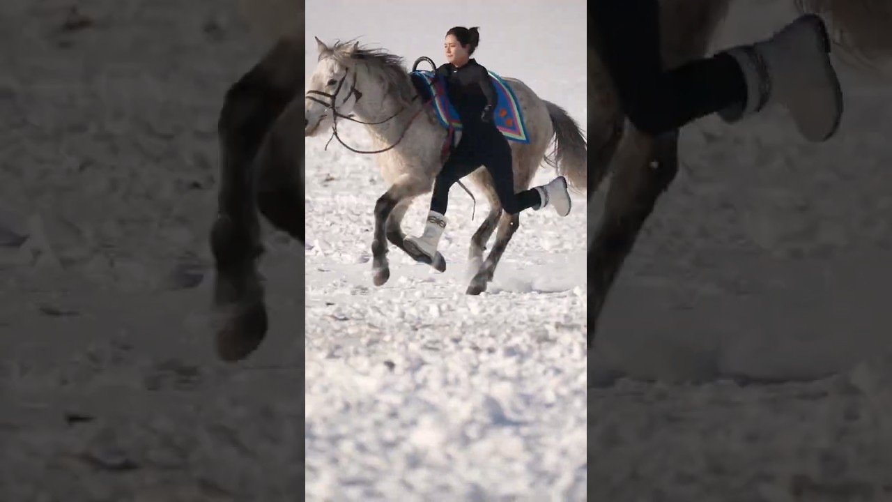 The feeling of riding a horse on the snow at the beginning of the year is wonderful #horse #horses