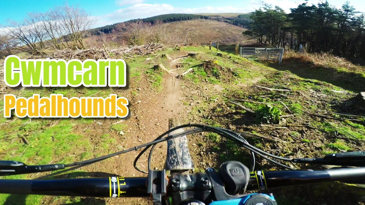 Cwmcarn MTB | Full Pedalhounds DH