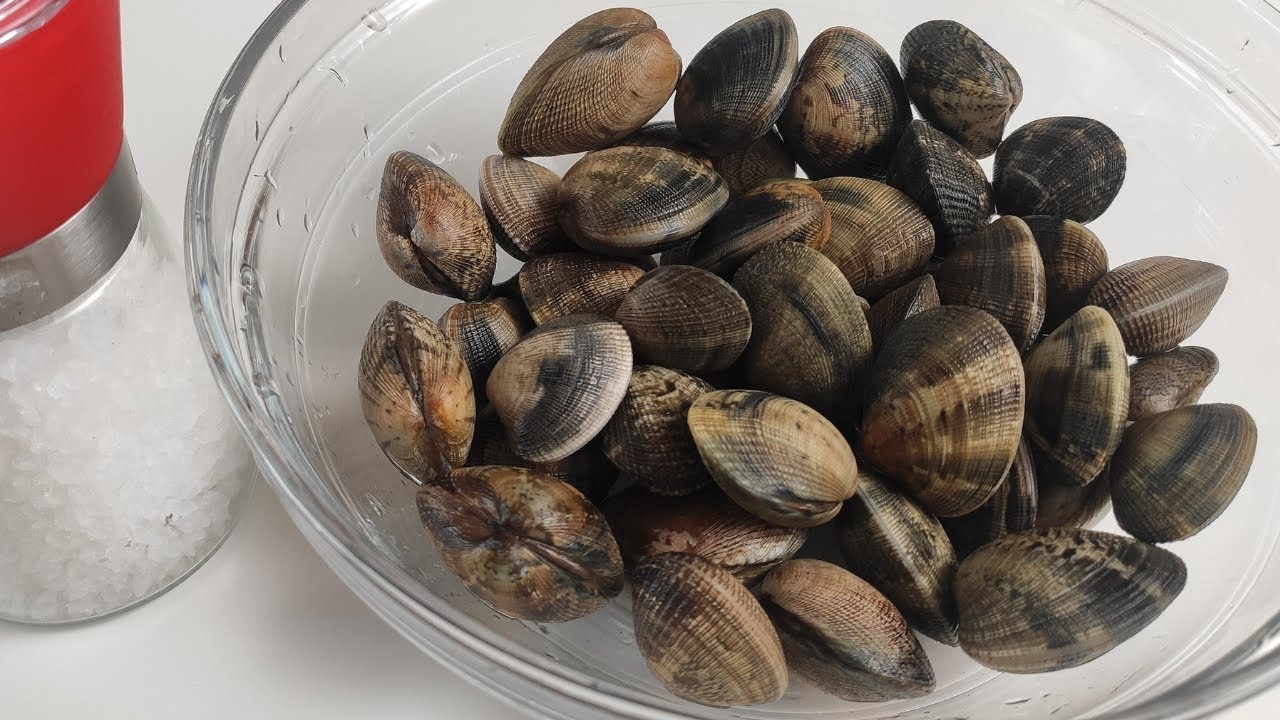 Como LIMPIAR las ALMEJAS antes de cocinarlas (La forma mas FACIL y RAPIDA) 🦪